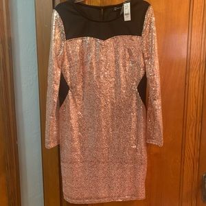 NWT sequin dress
